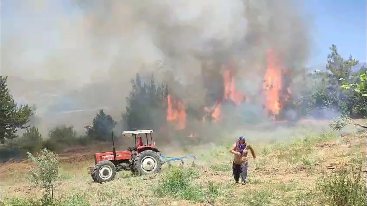 Kozan’da Anız Yangını Bahçe ve Ormana Sıçradı